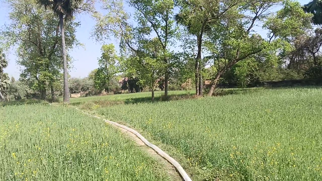 Mera home