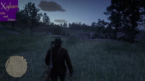 Red Dead Redemption II - Storyline