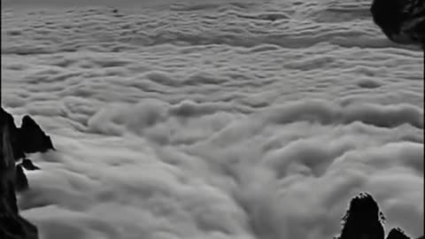 Beshak Subahanallah ♥️✨🕊️💯