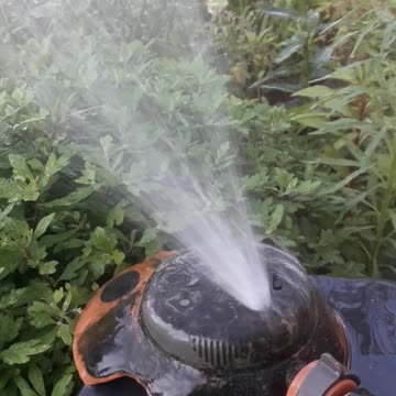 Watering the garden in summer
