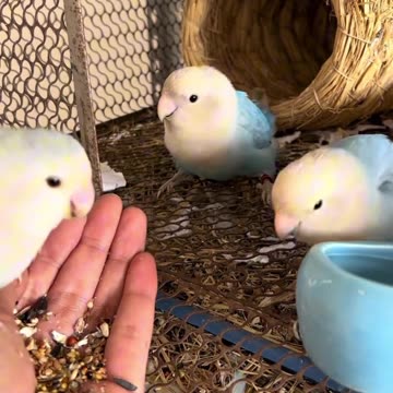 What’s Up with These Arguments