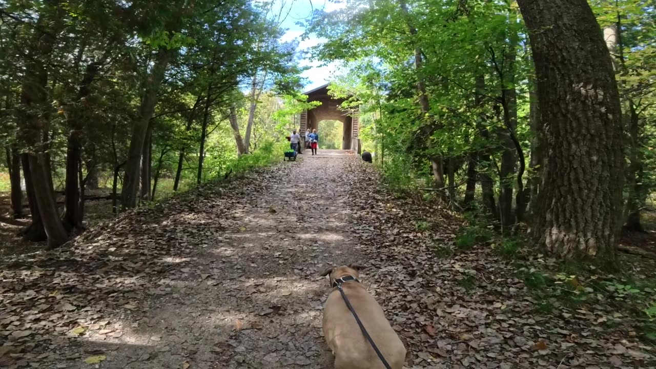 Deerfield Nature Park, Michigan