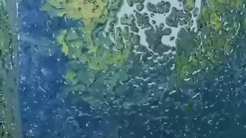 Slimy yet satisfying