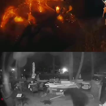 A cat and a bear re-inact The Lord of the Rings!