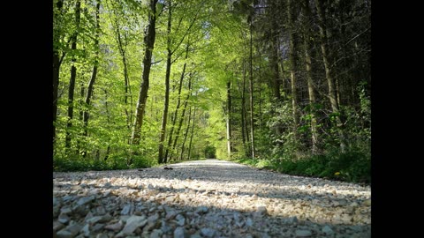 Walking Along A Gravel Path. Relaxing sounds. Drift into your own happiness.