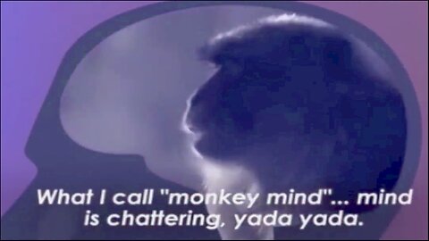Our Monkey Mind