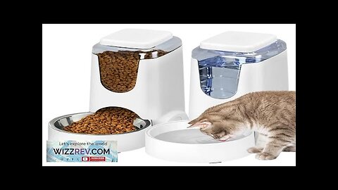 Automatic Cat Feeder and Water Dispenser with Stainless Steel Dog Bowl Dog Review