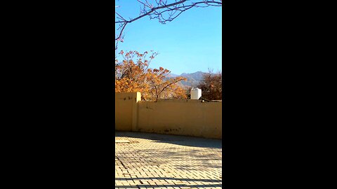 Morning Serenity in the Cantonment | Beautiful Trees & Mountain Views #TravelwithIbrar #quettacity