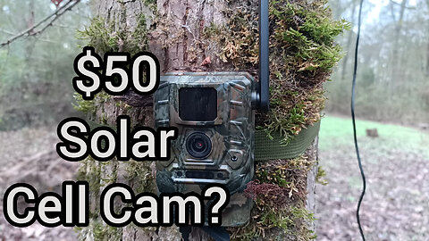 Budget Amazon trail camera review