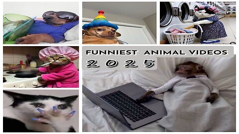 The Funniest Animal (Cats & Dogs) Videos 2025 Part 1