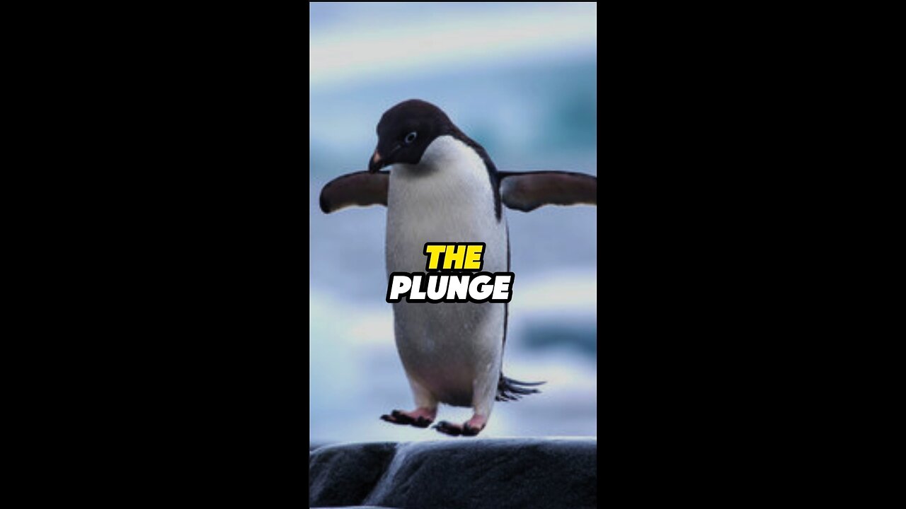 The Plunge