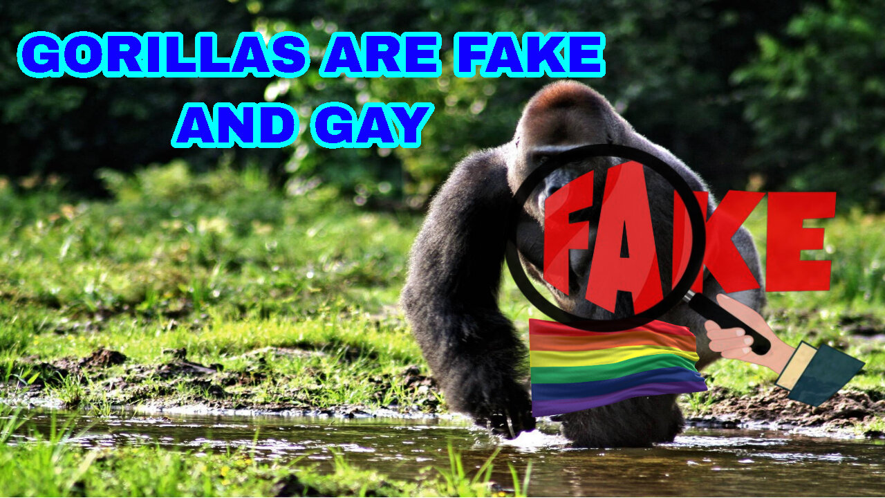 GORILLAS ARE FAKE & GAY!!!