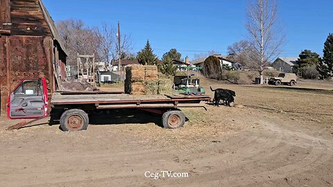 Graham Family Farm: 11:40 AM February 12th 2025