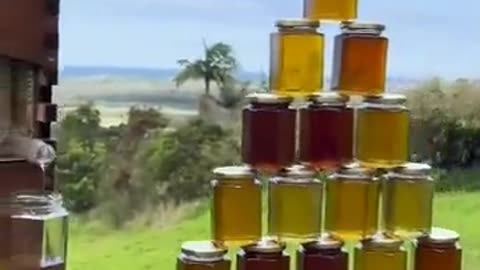 Harvesting-honey-without-damaging-the-beehive