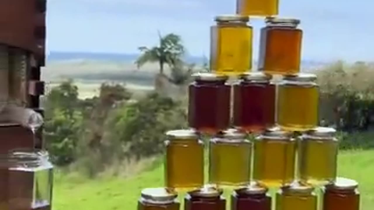 Harvesting-honey-without-damaging-the-beehive