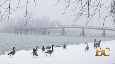 Heavy snow and frigid Arctic blast put 70 million across the US under winter storm warnings