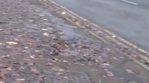 A British man walking and taking some souvenir photos is chased and questioned