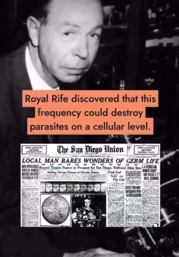 Documentary: Frequency versus Parasites