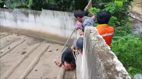 Animal Attack a man