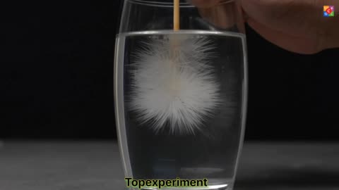 Funny experiment