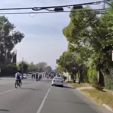 When green traffic invades your city....