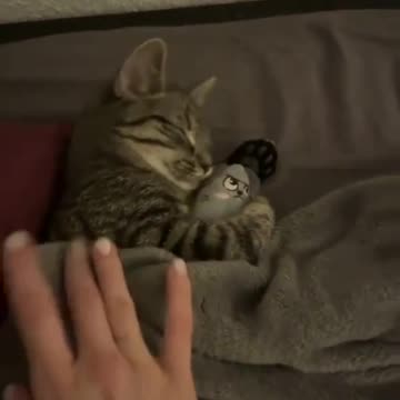 Sleeping better with cuddles 😍