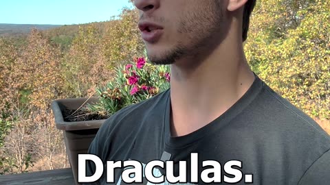 Dracula