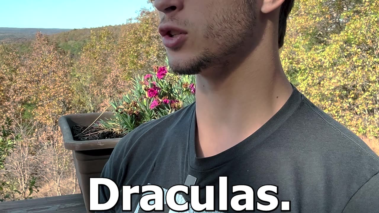 Dracula