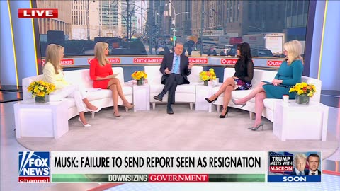 Kayleigh McEnany Drops Receipts After Panelist Whines About Gov't Layoffs