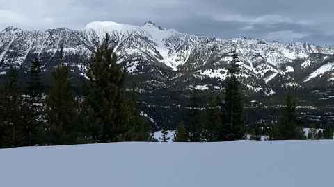 Dog Sledding In Big Sky Country