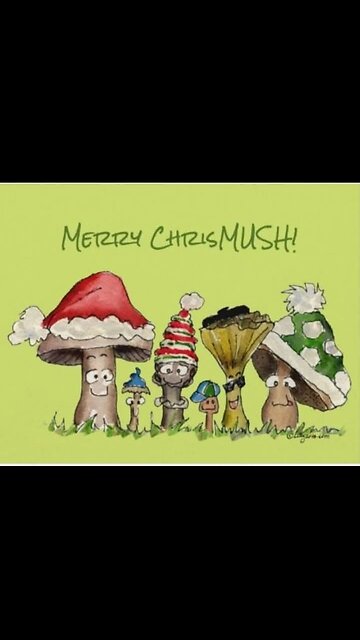 Jeffrey's Chicken Shack Caribou Hills, AK