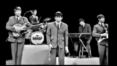 THE ANIMALS - HOUSE OF THE RISING SUN (LIVE) ON THE ED SULLIVAN SHOW 🎸