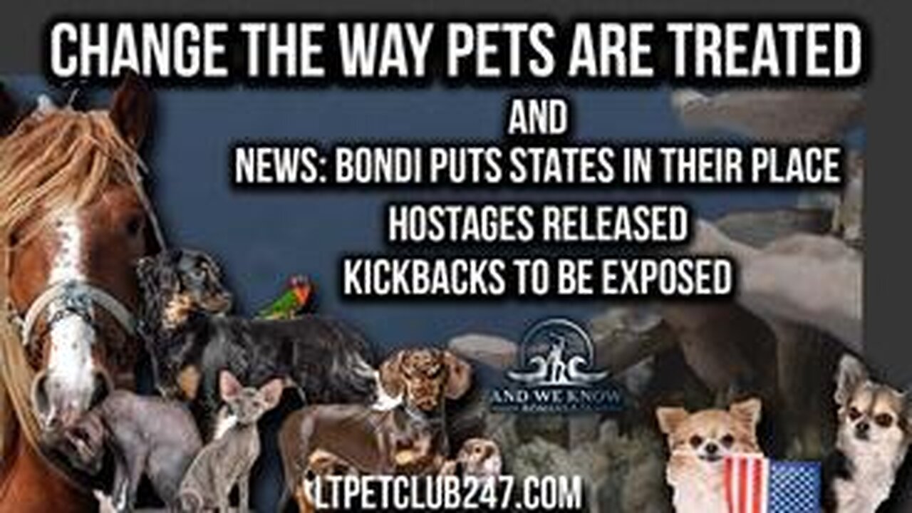 2.13.25- Bondi on the MOVE, Gabbard in, Hostages + amazing interview with LTPetclub on your PETS!