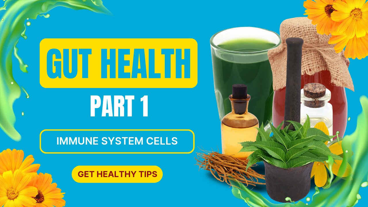 Stop Chasing Symptoms + Target the Gut - 70-80% of your immune system is in it