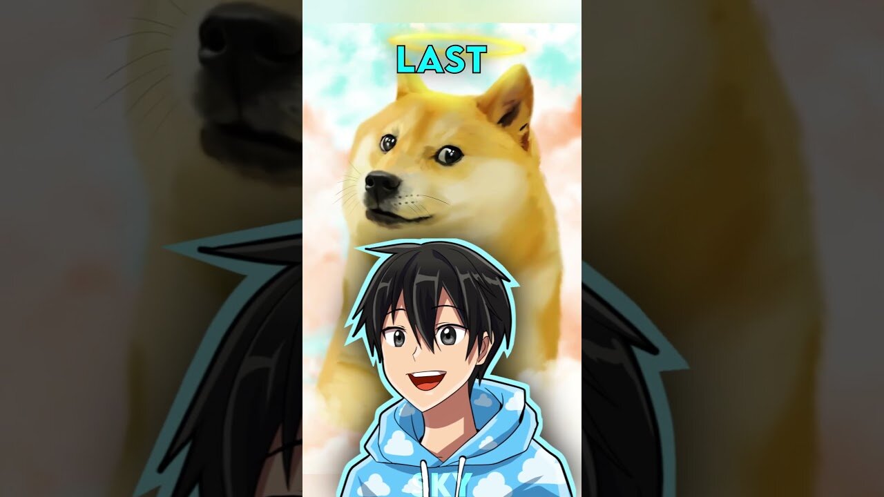 Remembering the Top 3 Meme Dogs Who Have Passed Away 🕊️😔