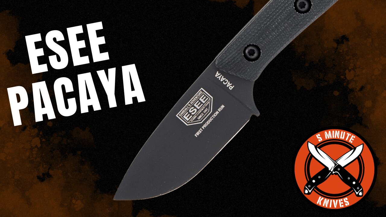😵 The Knife That Gave Me Tourette’s… 🔪