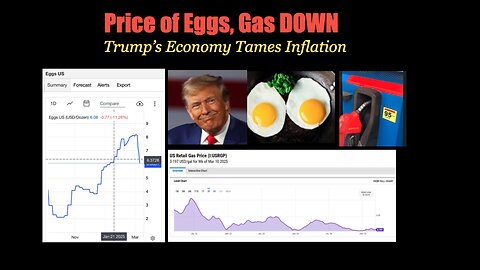 Price of Eggs and Gas DOWN - Trump's Economy Begins to Tame Inflation