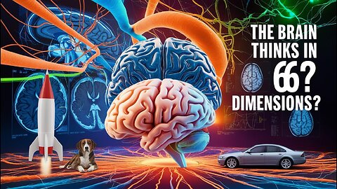 Scientists Discover the Brain Thinks in MULTIPLE Dimensions at Once