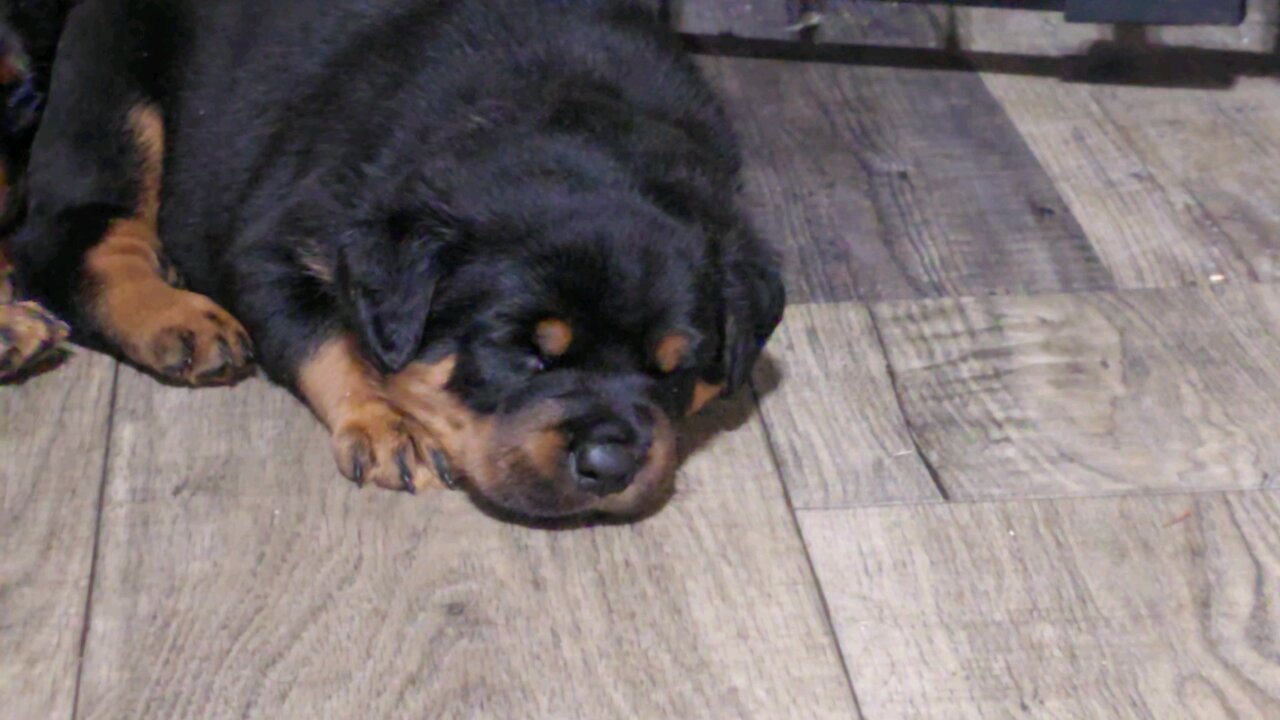 His Head