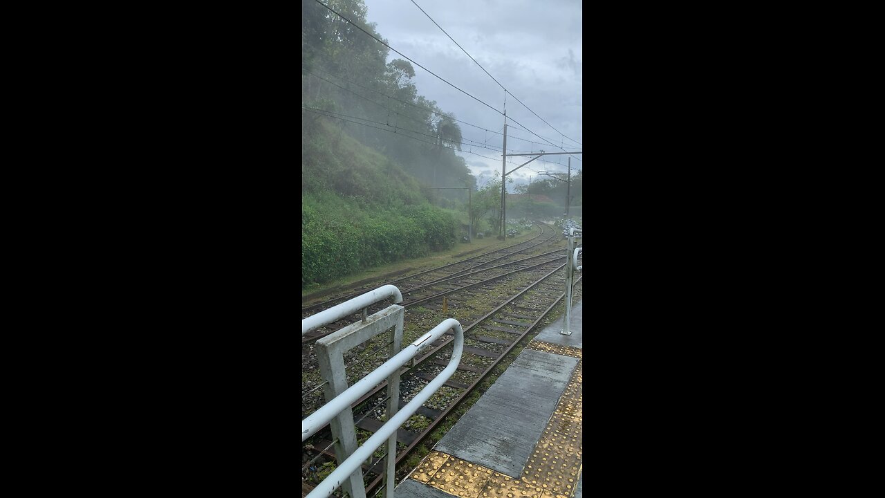 Fog in Brazil on the Railroad