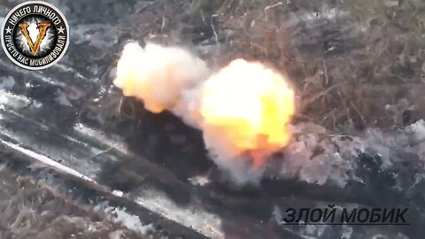 Demilitarization of Ukrainian infantry by a Russian strike drone in the South Donetsk direction