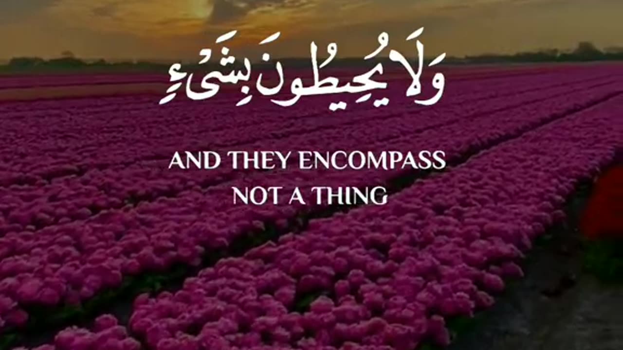 Subahanallah ♥️✨