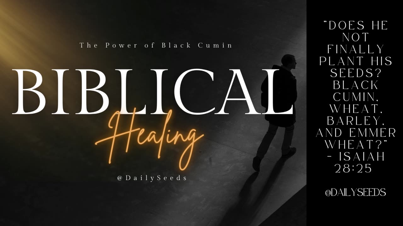 Isaiah 28:25 | Planting Seeds of Black Cumin