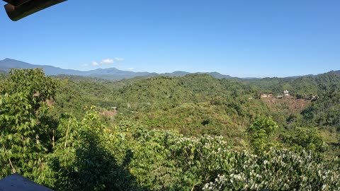 Hidden Paradise in Pua, Nan: Exploring the Stunning หลักลาย View 🌄✨