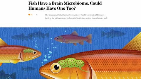 Fish Have a Brain Microbiome. Could Humans Have One Too?