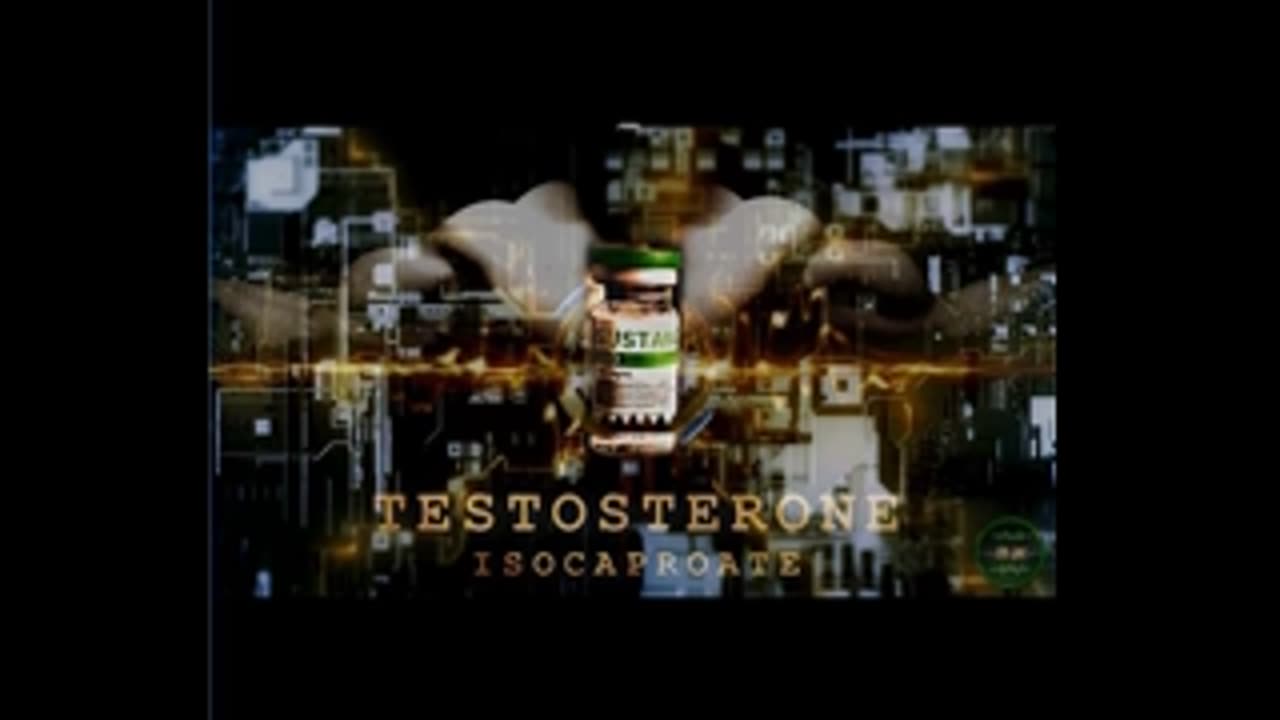 TESTOSTERONE ISOCAPROATE (Sustanon) | Long-Lived Steroid Frequency