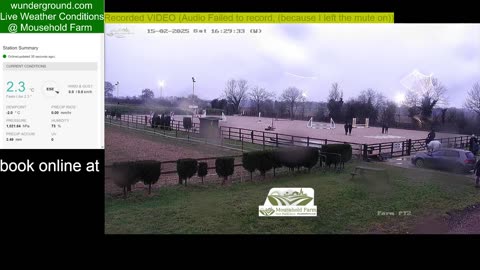 Mousehold Farm All Weather Riding arena