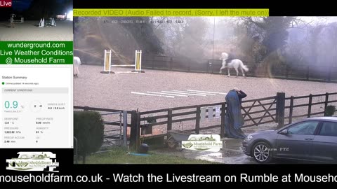 Mousehold Farm All Weather Riding arena