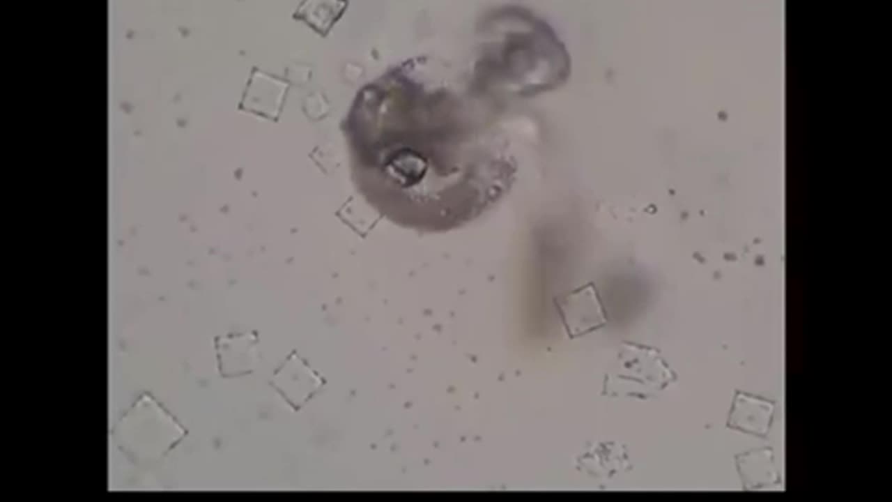 Nicotine destroys nano tech