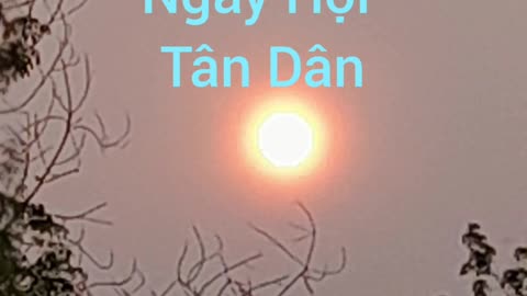 ngày hội tân dân ( hội long hoa )